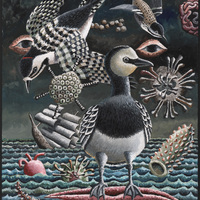 Morgan Bulkeley'swork, Book: Blackpoll Warbler, Red-cockaded Woodpecker, et al Mask